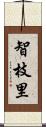 智枝里 Scroll