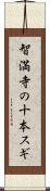 智満寺の十本スギ Scroll