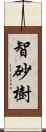 智砂樹 Scroll