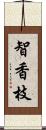 智香枝 Scroll