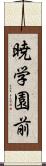 暁学園前 Scroll