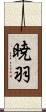 暁羽 Scroll