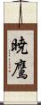 暁鷹 Scroll