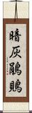 暗灰鵑鵙 Scroll