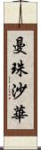 曼珠沙華 Scroll