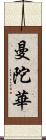 曼陀華 Scroll