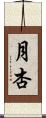 月杏 Scroll