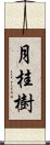 月桂樹 Scroll