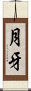 月牙 Scroll