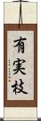 有実枝 Scroll
