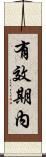 有效期內 Scroll