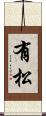 有松 Scroll