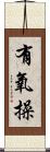 有氧操 Scroll