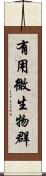 有用微生物群 Scroll