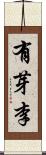 有芽李 Scroll