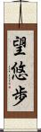 望悠歩 Scroll
