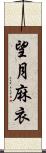 望月麻衣 Scroll