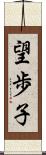 望歩子 Scroll