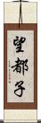 望都子 Scroll