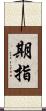 期指 Scroll