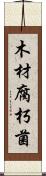 木材腐朽菌 Scroll