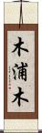 木浦木 Scroll