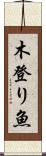 木登り魚 Scroll