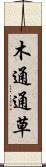 木通 Scroll