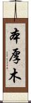 本厚木 Scroll