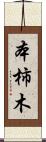 本柿木 Scroll