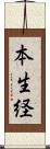 本生経 Scroll