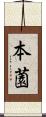 本薗 Scroll