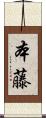 本藤 Scroll