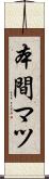 本間マツ Scroll