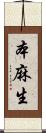 本麻生 Scroll
