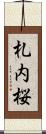 札内桜 Scroll