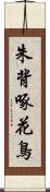 朱背啄花鳥 Scroll