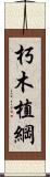 朽木植綱 Scroll
