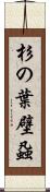 杉の葉壁蝨 Scroll