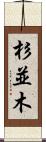 杉並木 Scroll