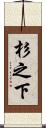杉之下 Scroll