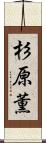 杉原薫 Scroll