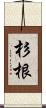 杉根 Scroll