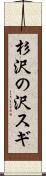 杉沢の沢スギ Scroll