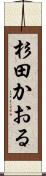杉田かおる Scroll