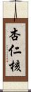 杏仁核 Scroll
