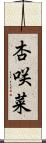 杏咲菜 Scroll