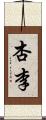 杏李 Scroll