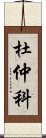 杜仲科 Scroll