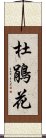 杜鵑花 Scroll